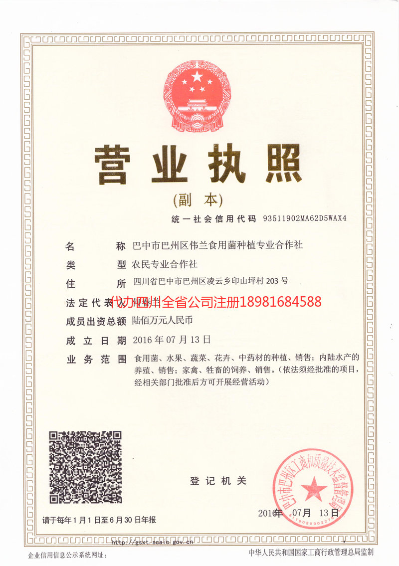 赤壁赤壁伟兰食用菌种植专业合作社